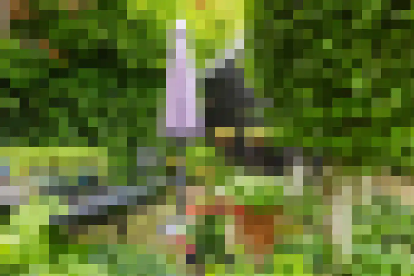 Jister 13 Langezwaag thumbnail 21