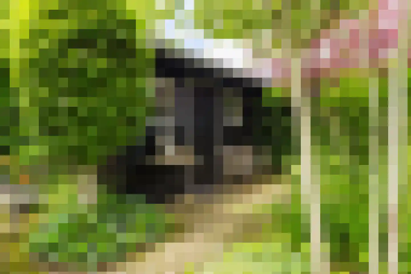 Jister 13 Langezwaag thumbnail 23