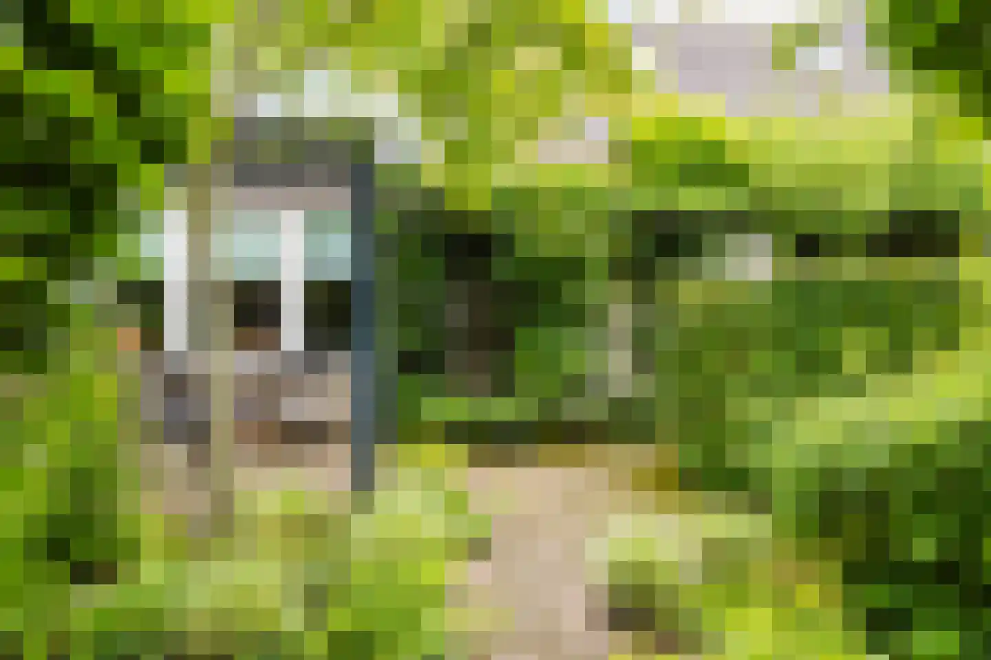Jister 13 Langezwaag thumbnail 24