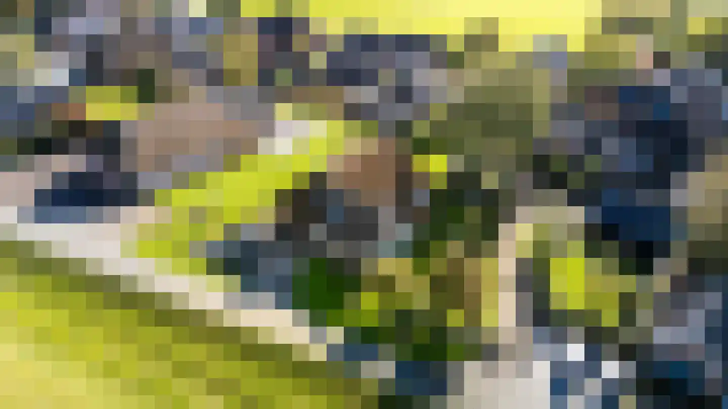 Jisterwei 2 Peazens foto 2