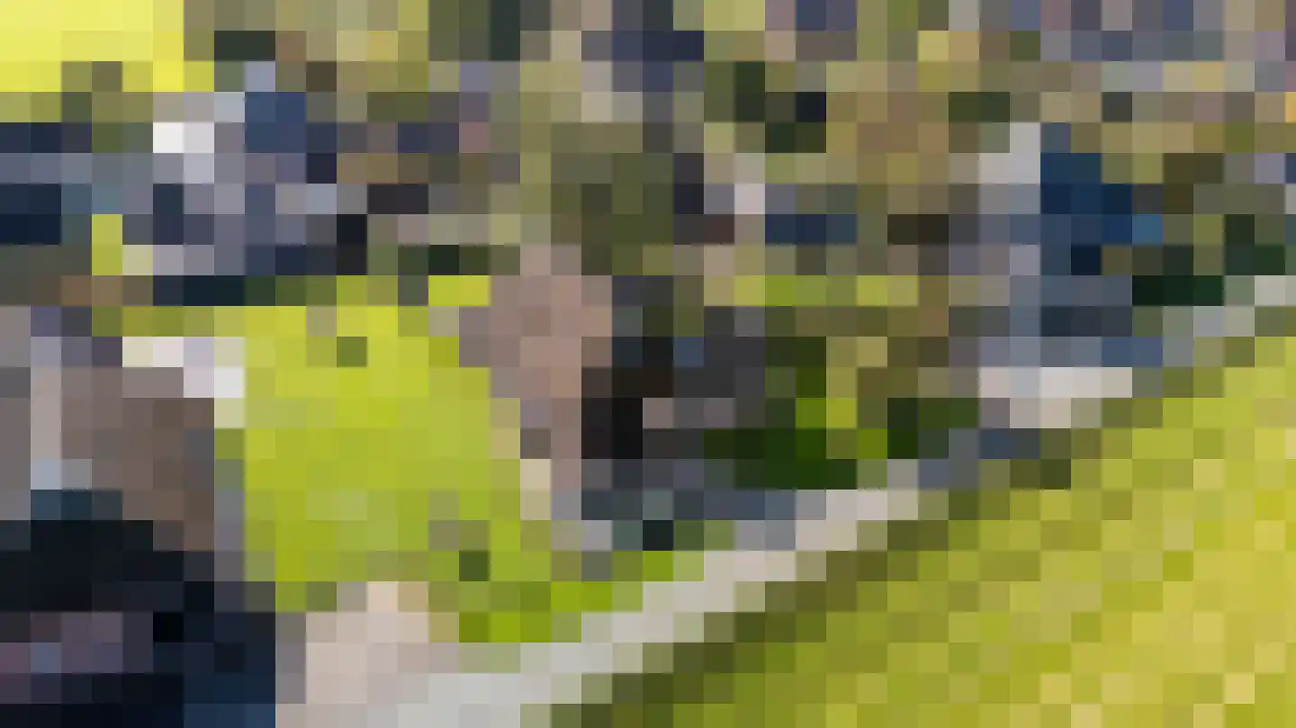 Jisterwei 2 Peazens thumbnail 35
