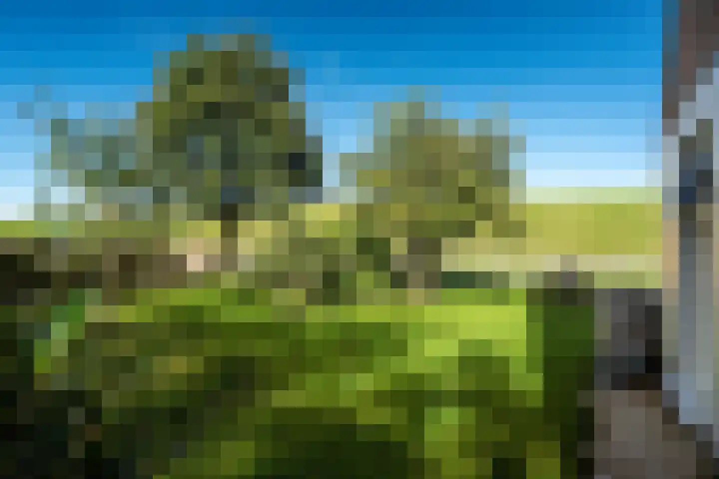 Jisterwei 2 Peazens thumbnail 37
