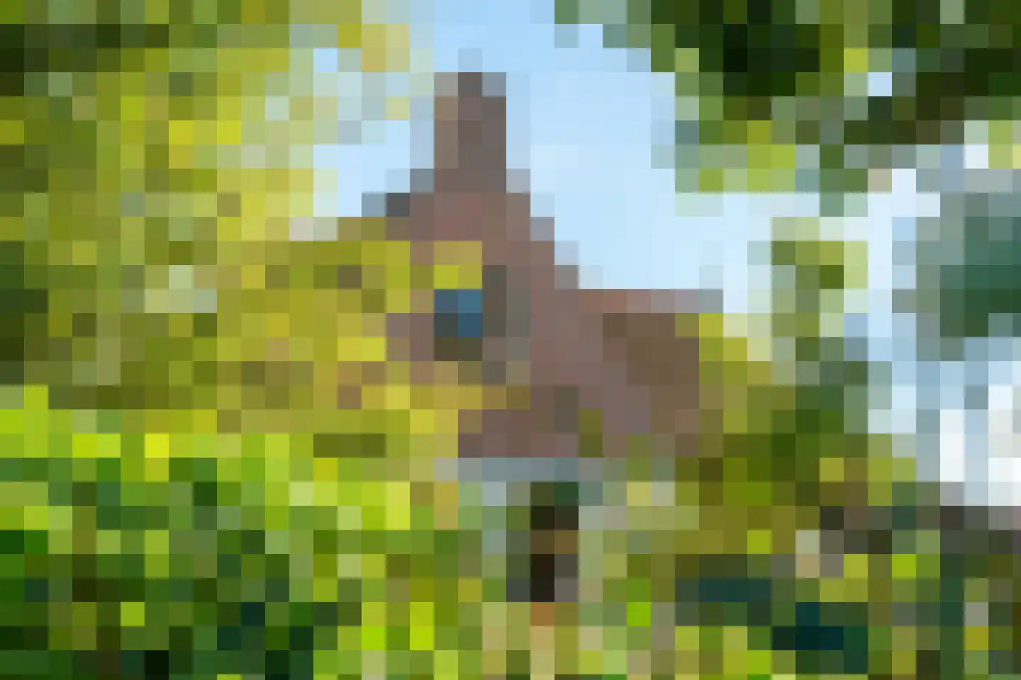 Jisterwei 2 Peazens thumbnail 38