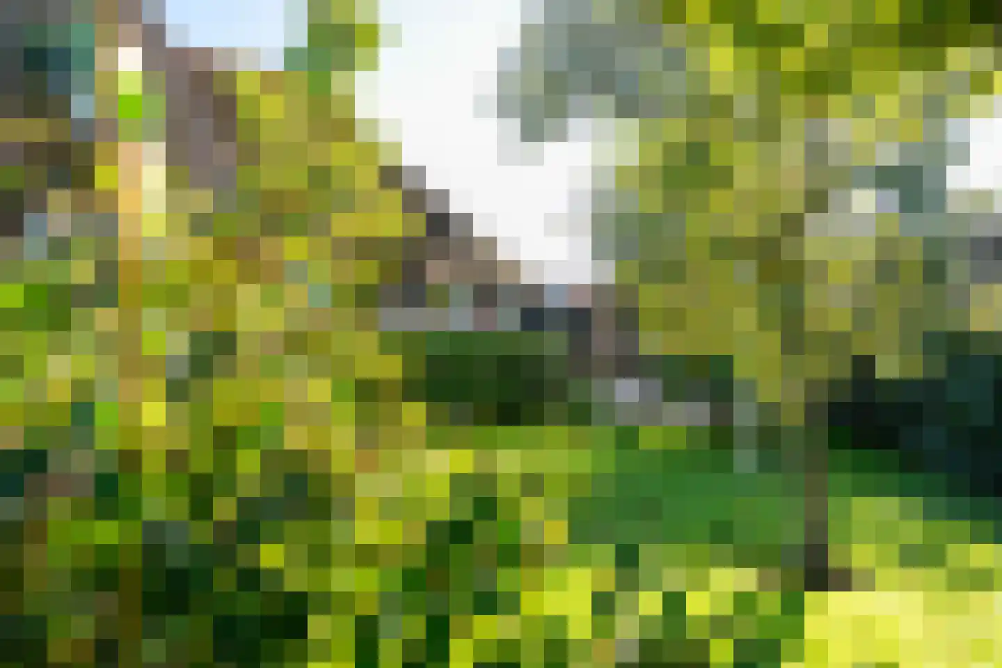 Jisterwei 2 Peazens thumbnail 46