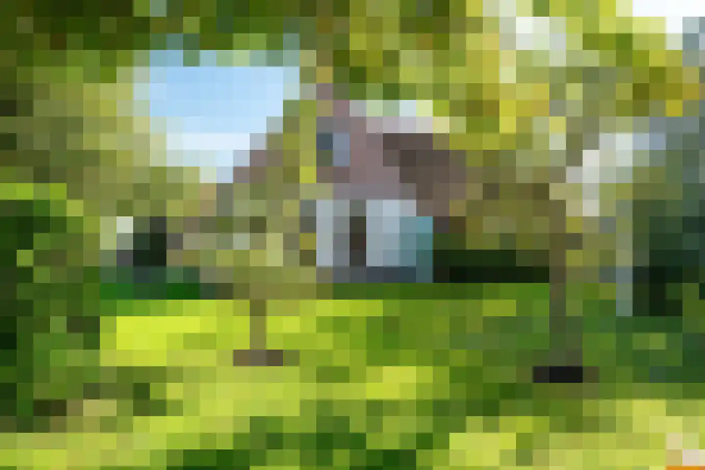 Jisterwei 2 Peazens thumbnail 5