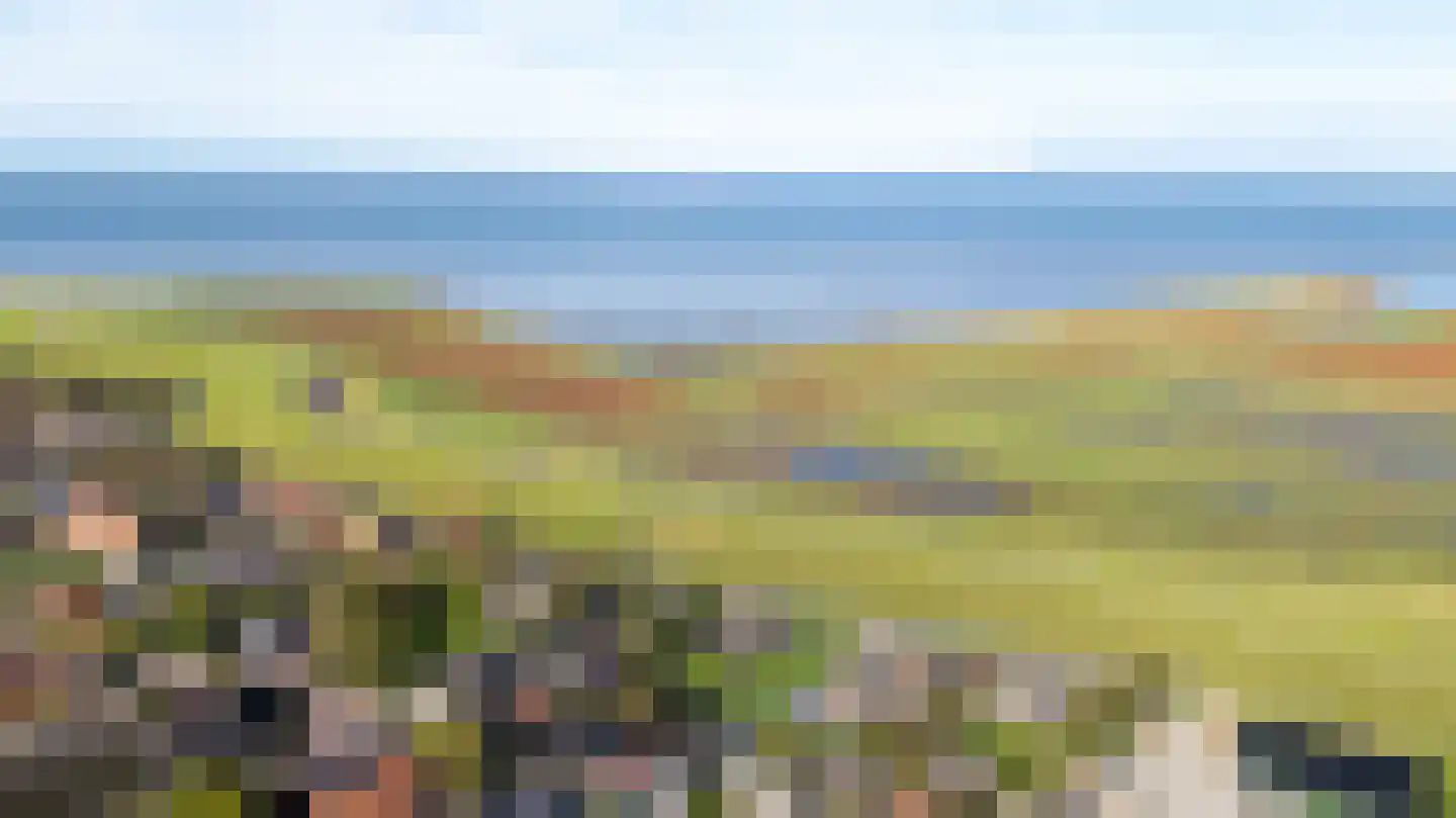 Jisterwei 2 Peazens thumbnail 57