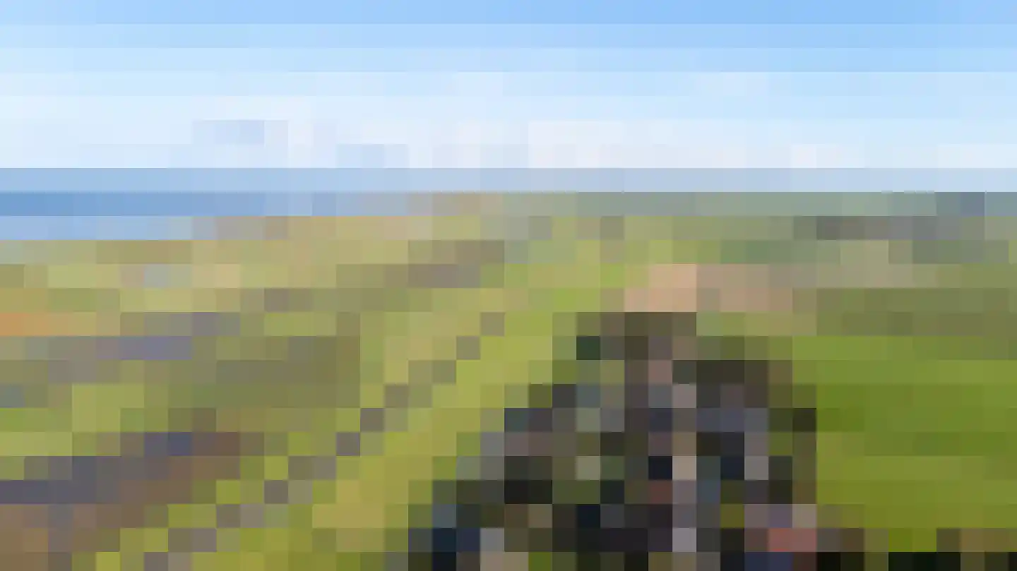 Jisterwei 2 Peazens thumbnail 58