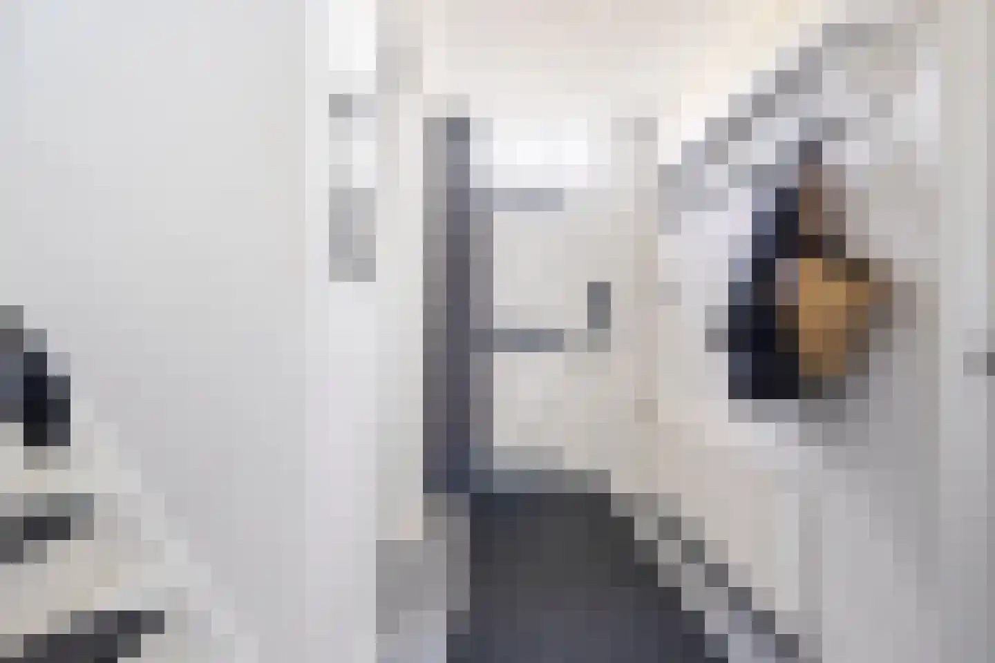 Jisterwei 2 Peazens thumbnail 59