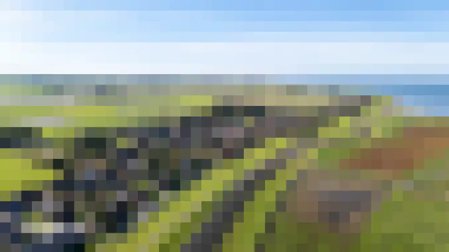 Jisterwei 2 Peazens thumbnail 7