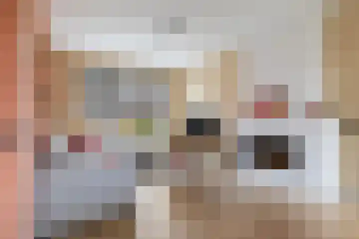 Jitze Pieter van Dijkstraat 2 Franeker thumbnail 13