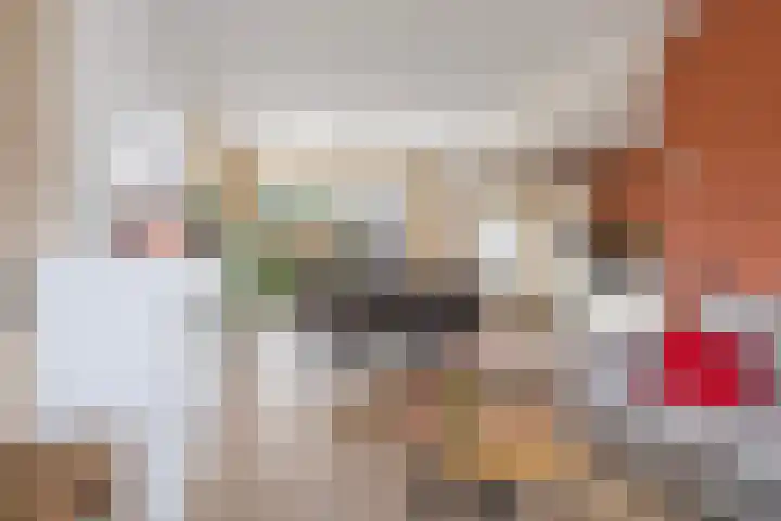 Jitze Pieter van Dijkstraat 2 Franeker thumbnail 14