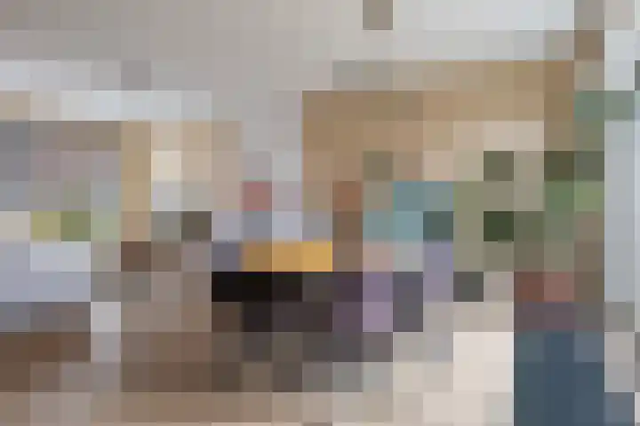 Jitze Pieter van Dijkstraat 2 Franeker thumbnail 15
