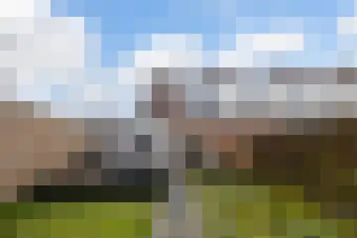Jitze Pieter van Dijkstraat 2 Franeker thumbnail 26