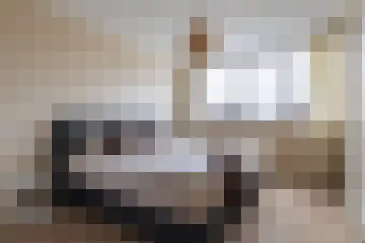 Jitze Pieter van Dijkstraat 2 Franeker thumbnail 29