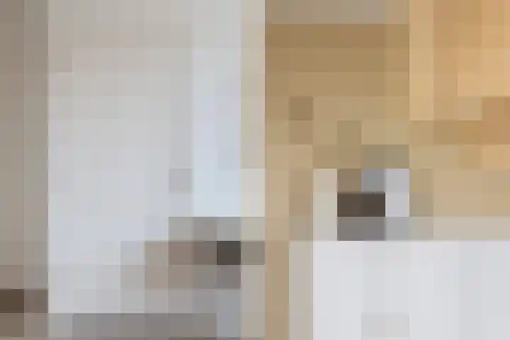Jitze Pieter van Dijkstraat 2 Franeker thumbnail 31