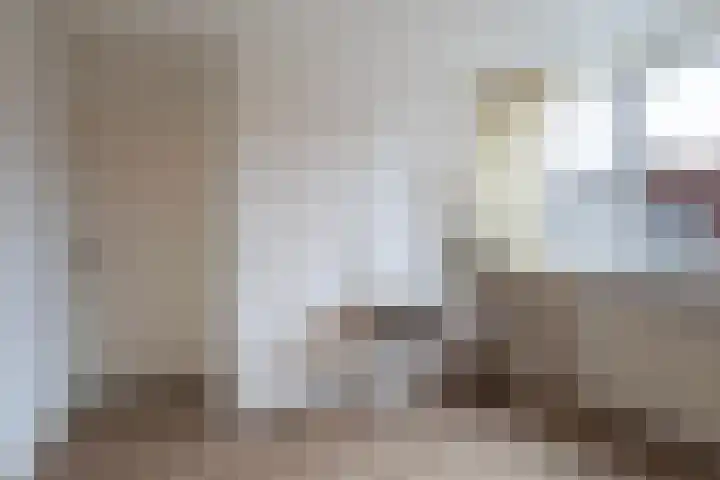 Jitze Pieter van Dijkstraat 2 Franeker thumbnail 32