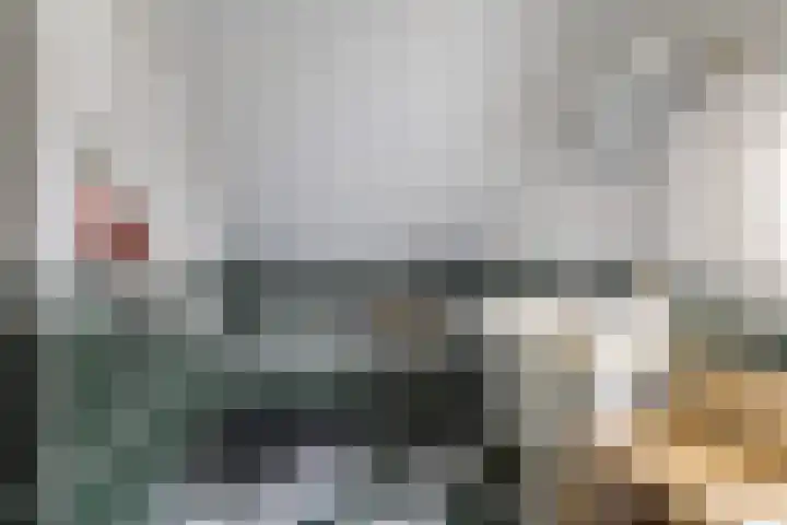 Jitze Pieter van Dijkstraat 2 Franeker thumbnail 34