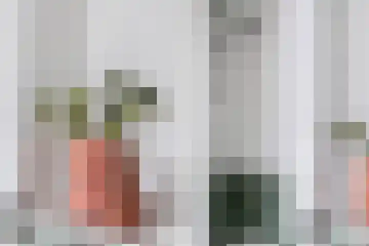 Jitze Pieter van Dijkstraat 2 Franeker thumbnail 36