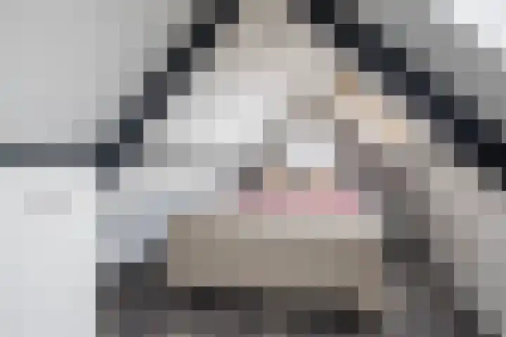 Jitze Pieter van Dijkstraat 2 Franeker thumbnail 38