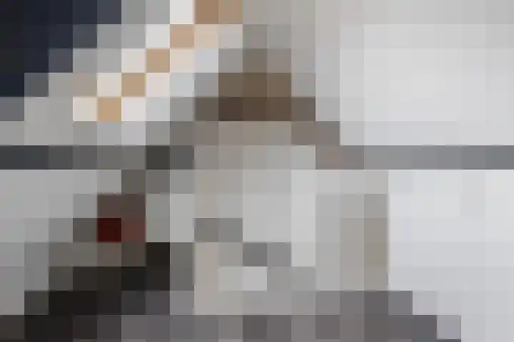 Jitze Pieter van Dijkstraat 2 Franeker thumbnail 39