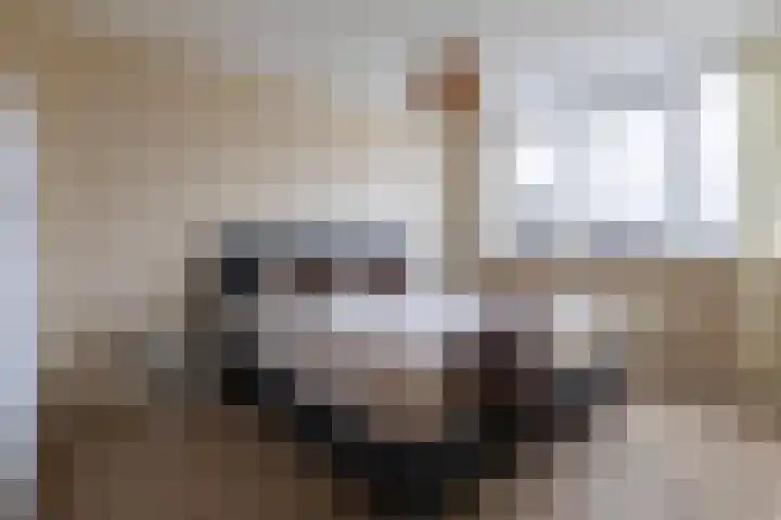 Jitze Pieter van Dijkstraat 2 Franeker thumbnail 4