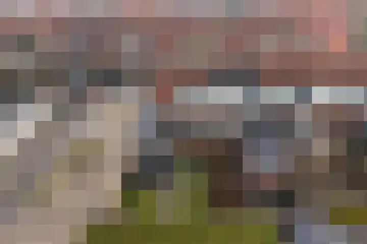 Jitze Pieter van Dijkstraat 2 Franeker thumbnail 41