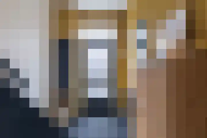 Jitze Pieter van Dijkstraat 2 Franeker thumbnail 9