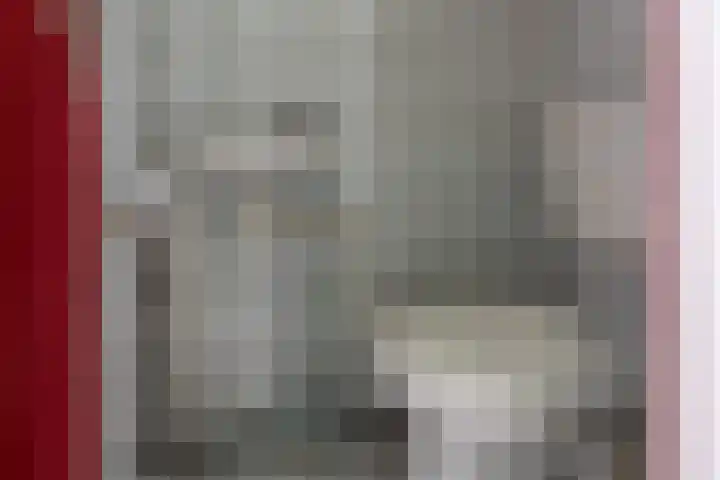 Jitze Pieter van Dijkstraat 6 Franeker thumbnail 14