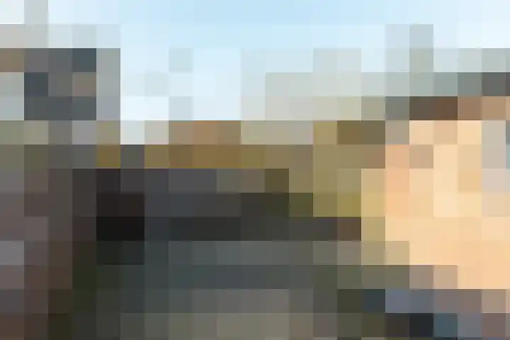 Jitze Pieter van Dijkstraat 6 Franeker thumbnail 24