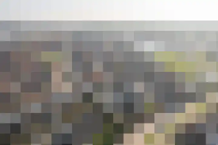 Jitze Pieter van Dijkstraat 6 Franeker thumbnail 6