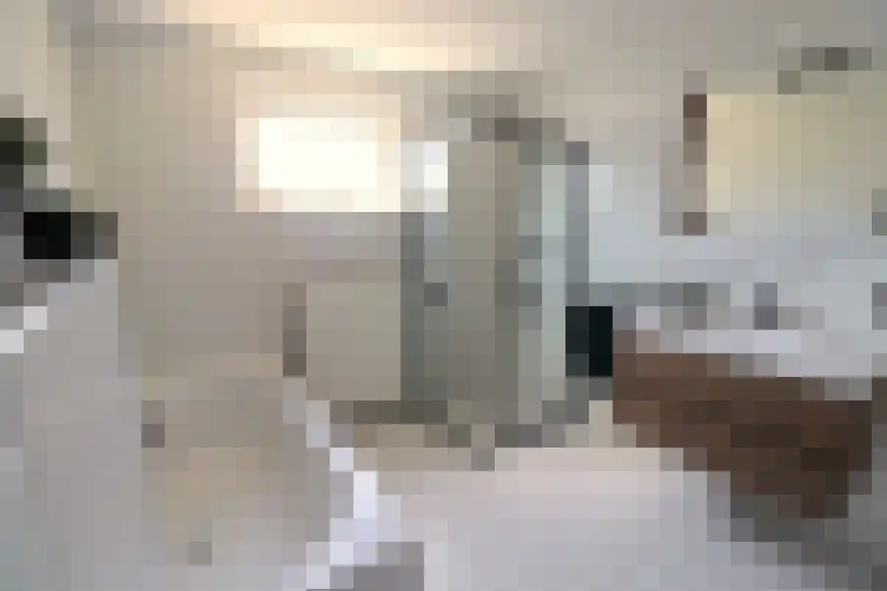 Jivestraat 27 Almere thumbnail 19