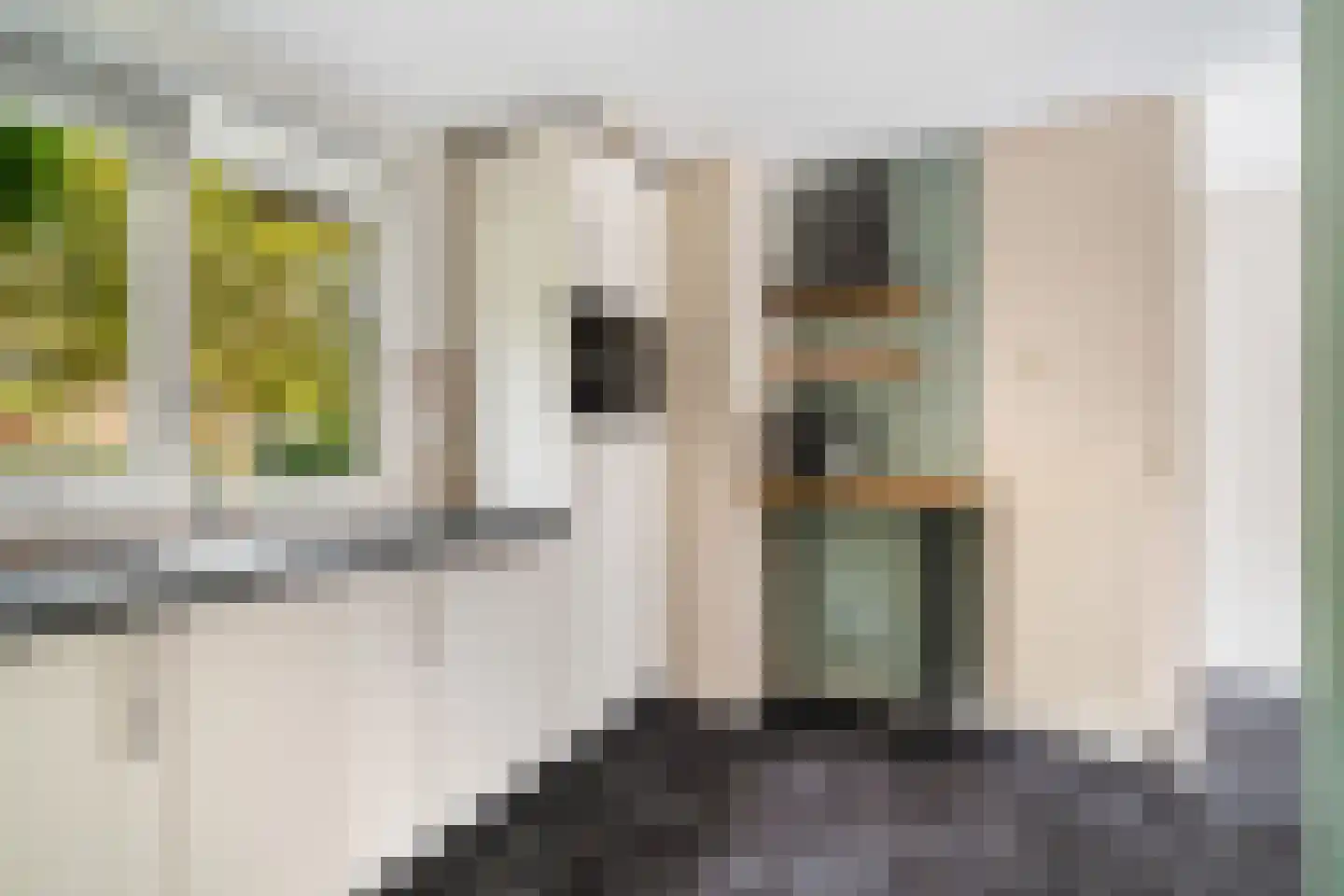 Jo Bauerlaan 18 Pijnacker thumbnail 13