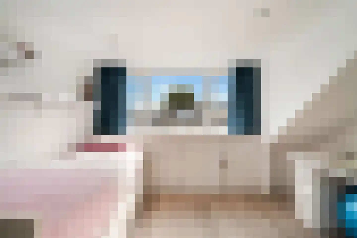 Jo Bauerlaan 18 Pijnacker thumbnail 26