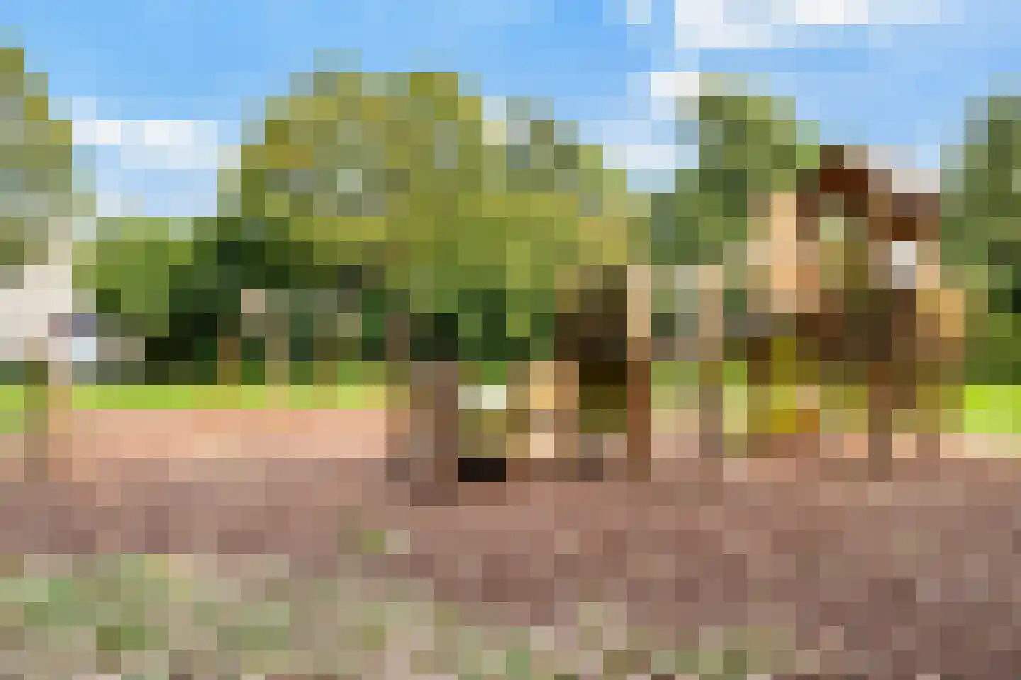 Jo Bauerlaan 18 Pijnacker thumbnail 37