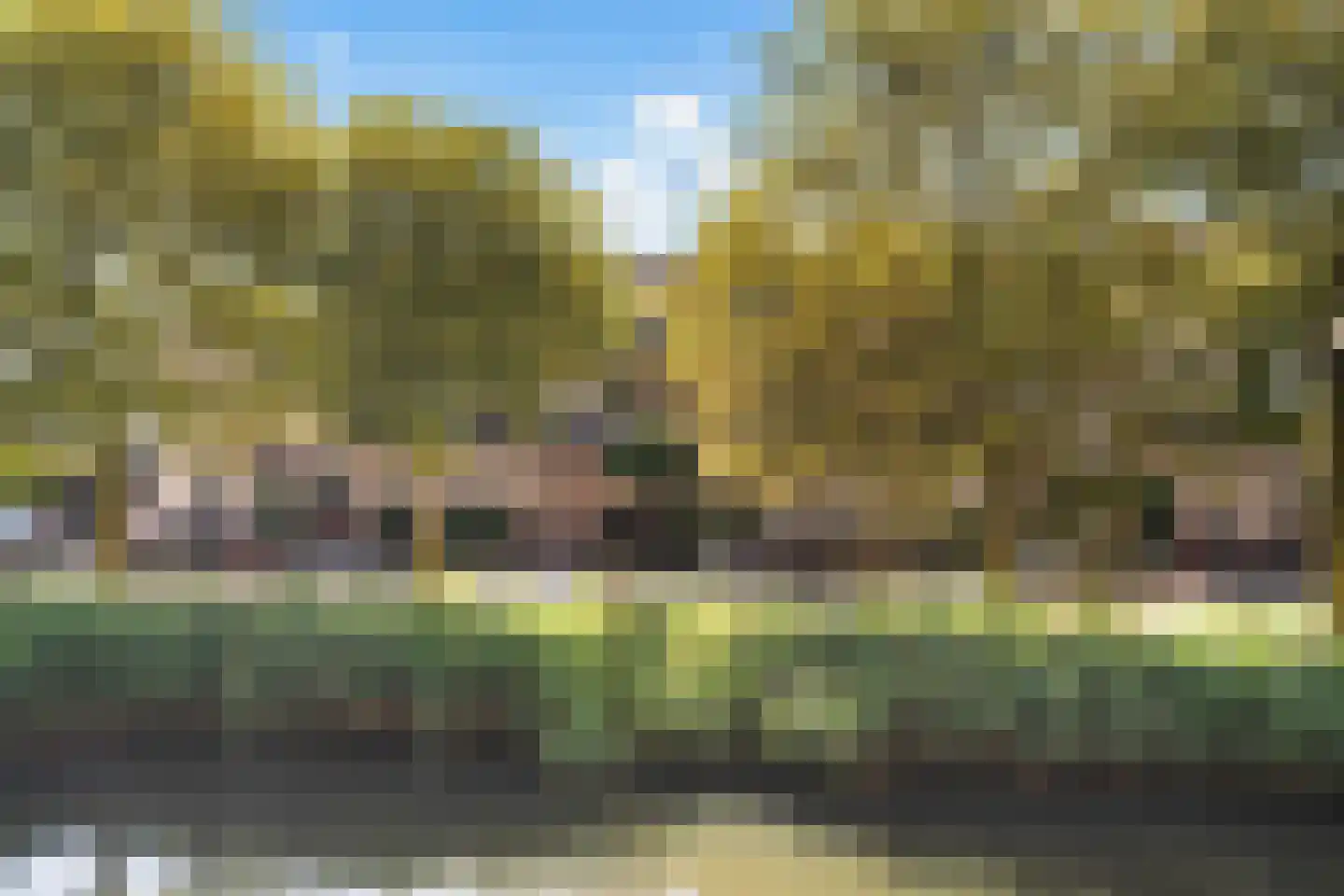 Jo Bauerlaan 18 Pijnacker thumbnail 38