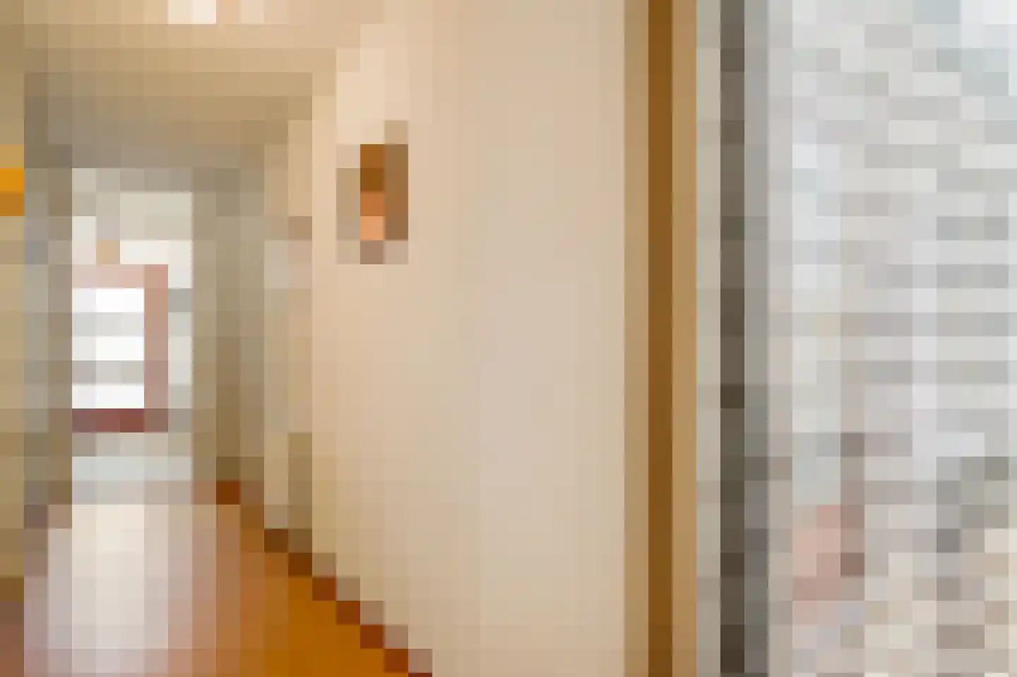 Jo Calsstraat 22 Herten thumbnail 18