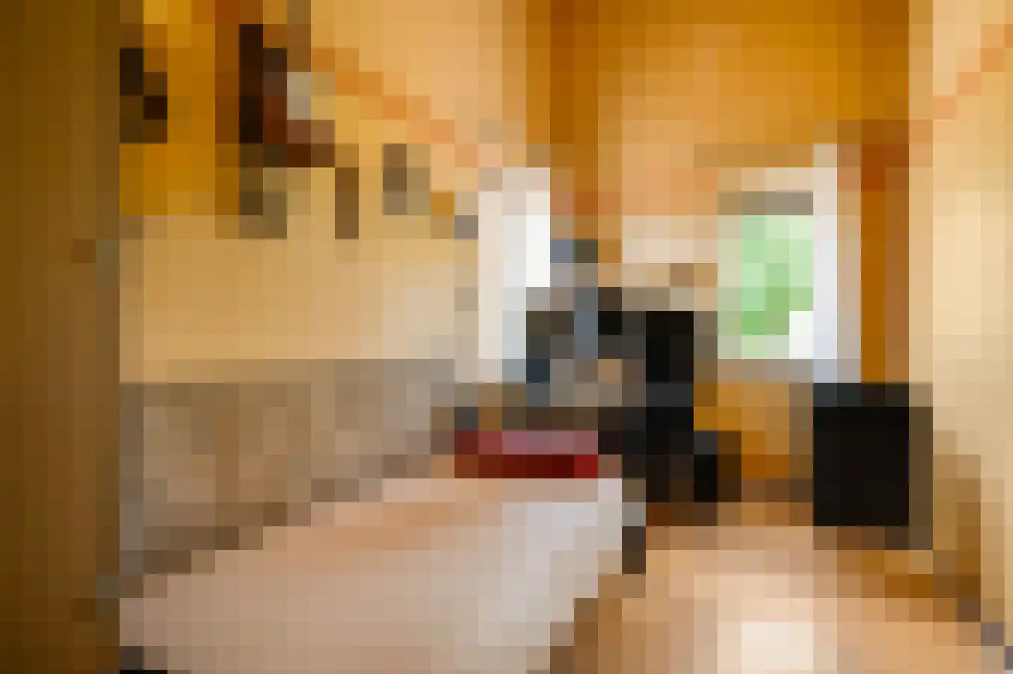 Jo Calsstraat 22 Herten thumbnail 25