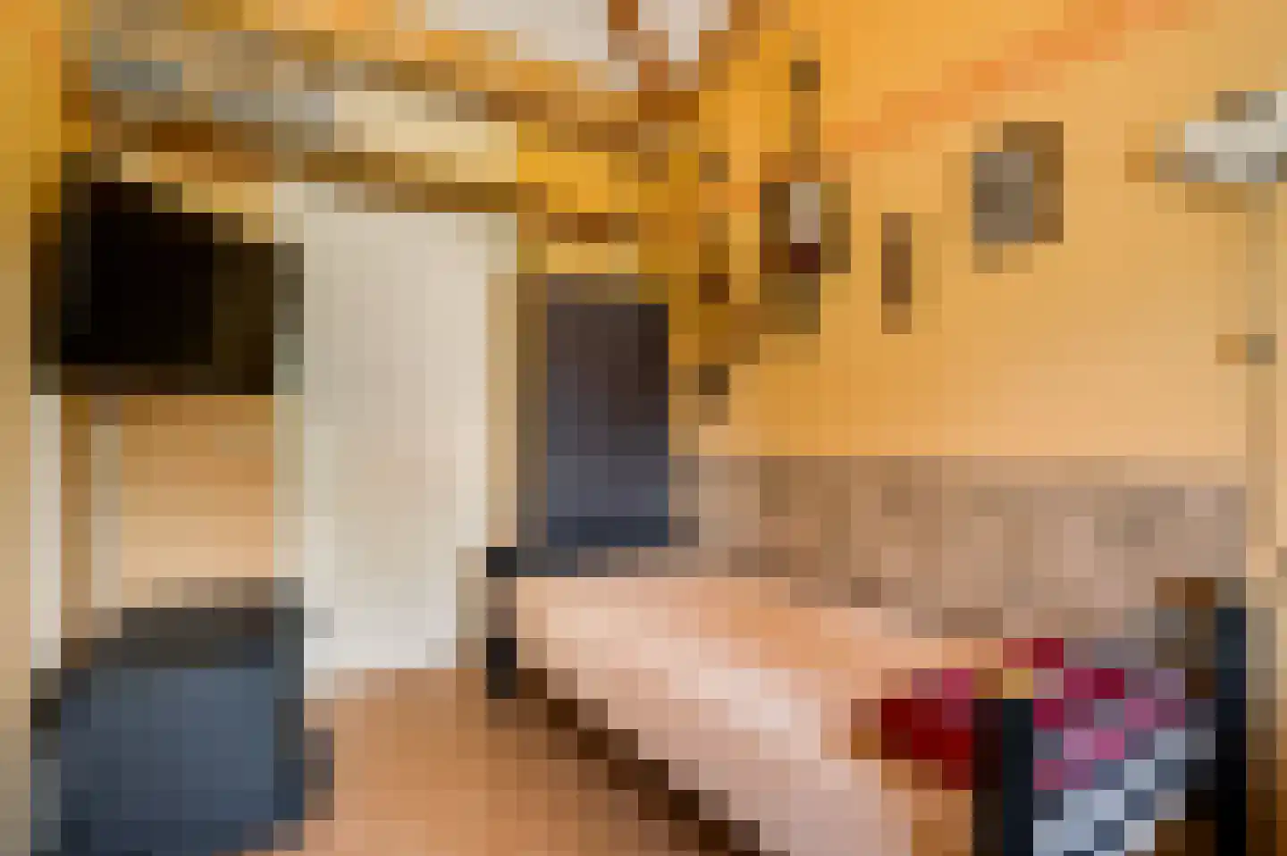 Jo Calsstraat 22 Herten thumbnail 26