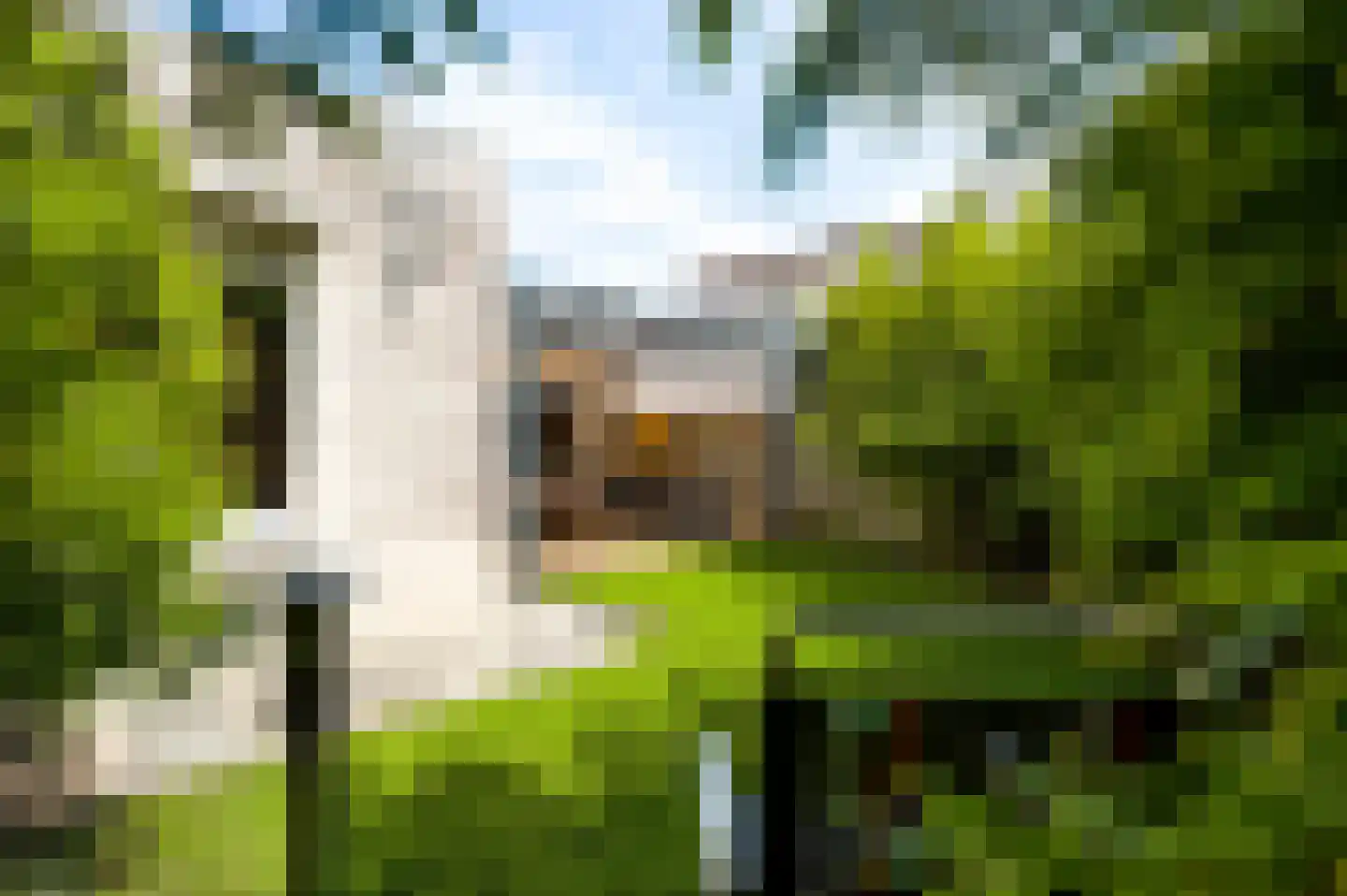 Jo Calsstraat 22 Herten thumbnail 33