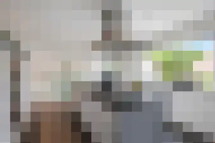 Jo Calsstraat 30 Herten thumbnail 18
