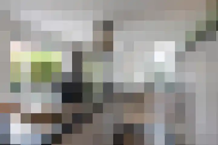 Jo Calsstraat 30 Herten thumbnail 20