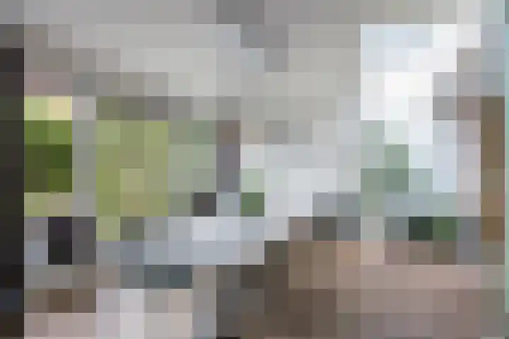 Jo Calsstraat 30 Herten thumbnail 23