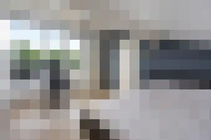 Jo Calsstraat 30 Herten thumbnail 36