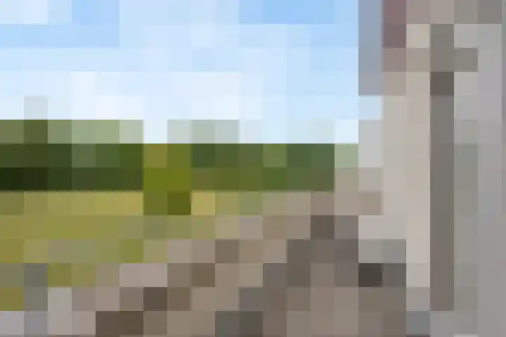 Jo Calsstraat 30 Herten thumbnail 39