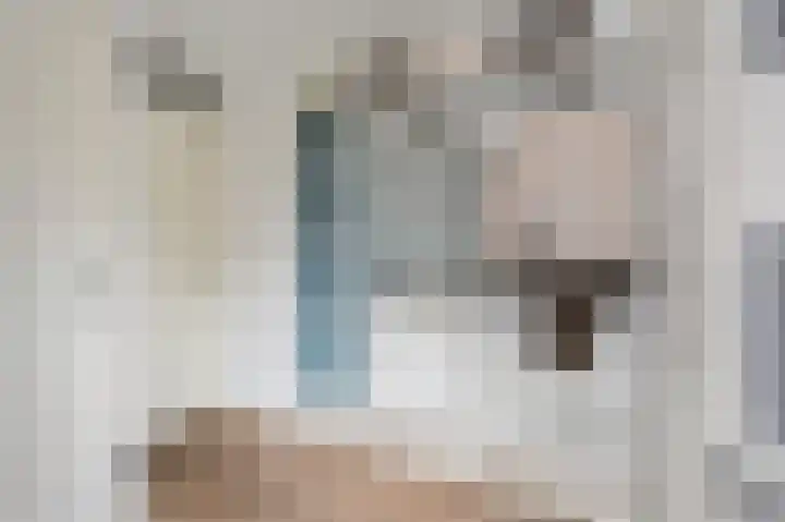 Jo Calsstraat 30 Herten thumbnail 5