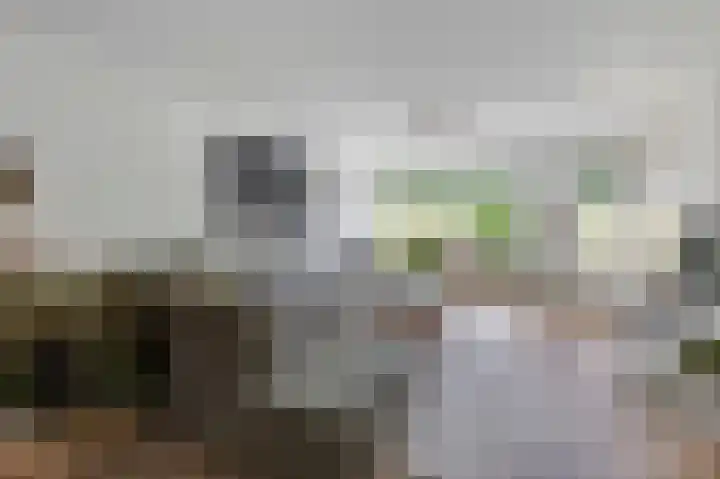 Jo Calsstraat 30 Herten thumbnail 6