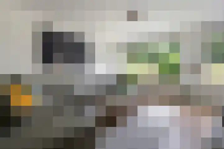 Jo Calsstraat 30 Herten thumbnail 7