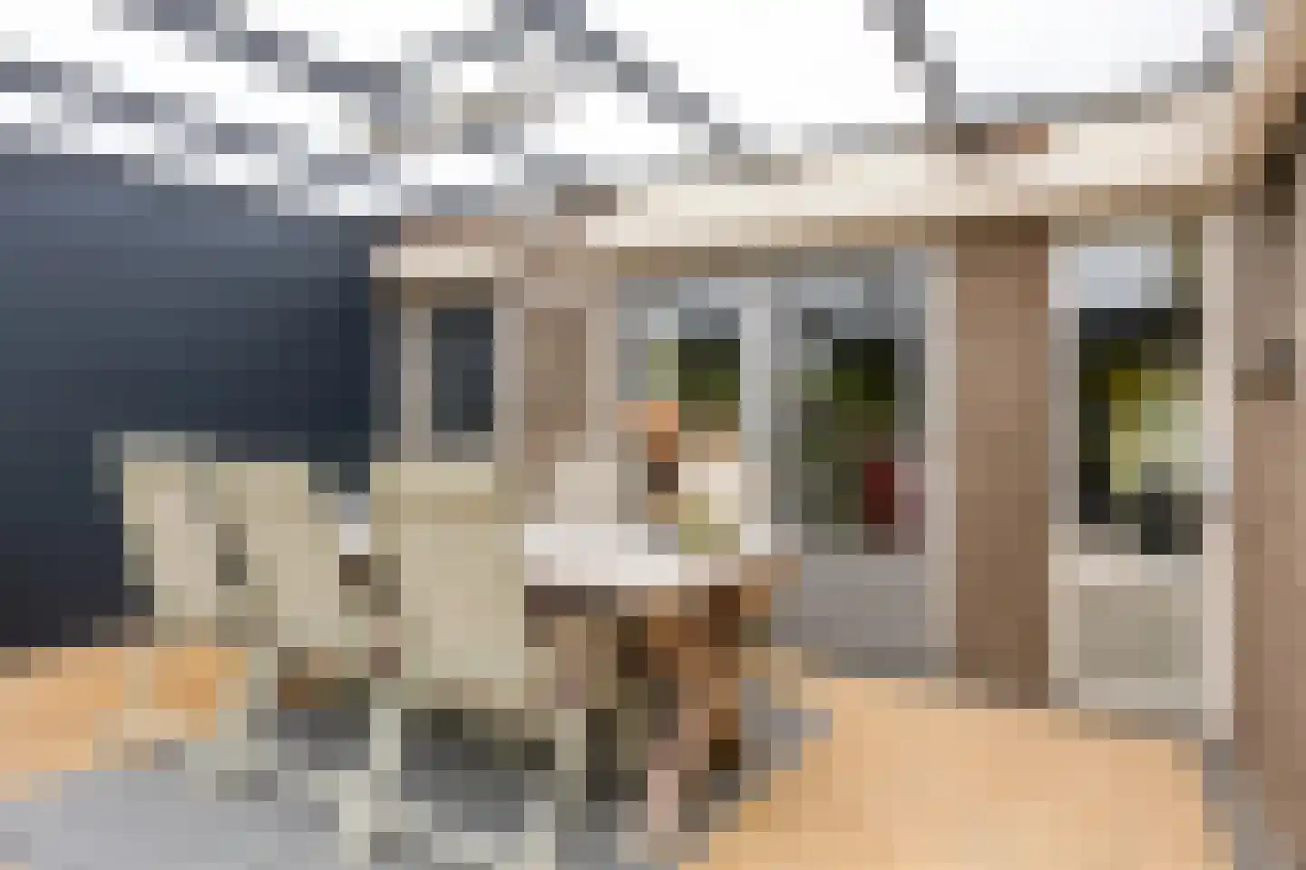 Jo Calsstraat 37 Herten thumbnail 12