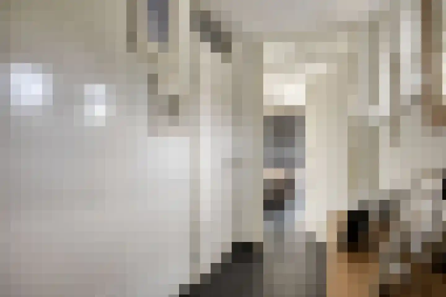Jo Calsstraat 37 Herten thumbnail 14