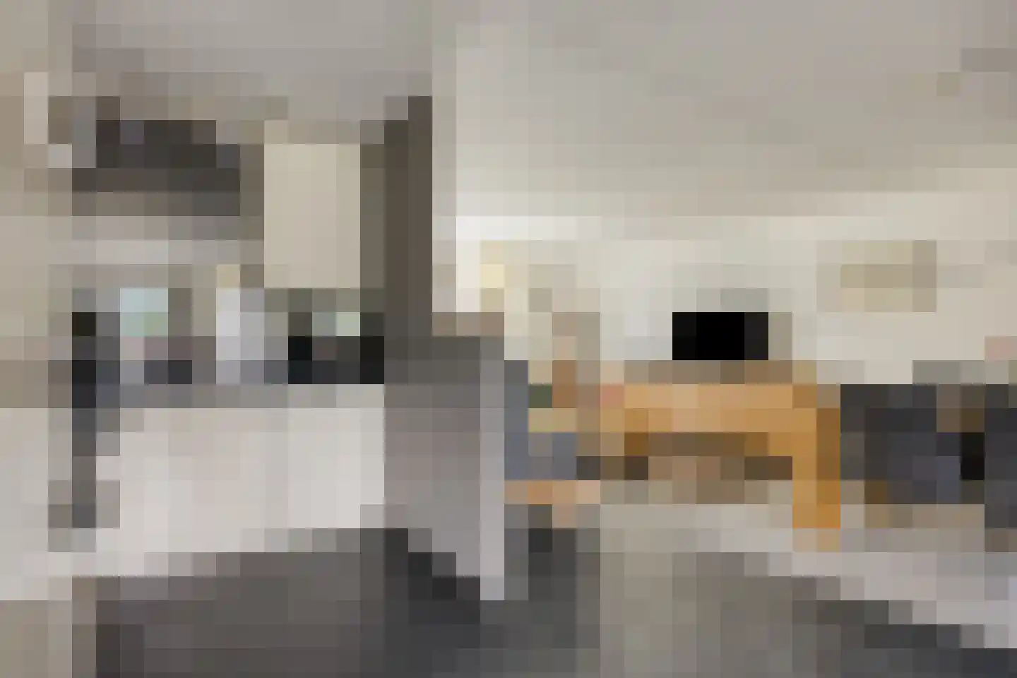 Jo Calsstraat 37 Herten thumbnail 7